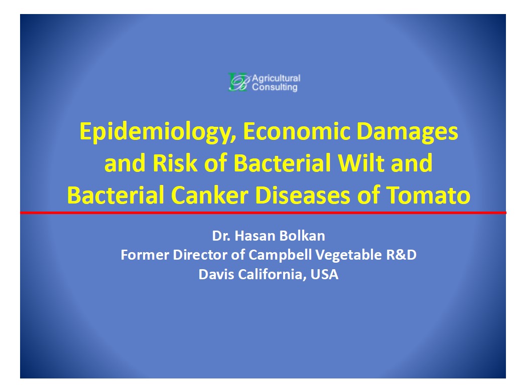 Hasan Bolkan - Domates Bakteriyel Kanser ve Solgunluk Hastaligi Riski, Epidemiyolojisi ve Ekonomik Zarari