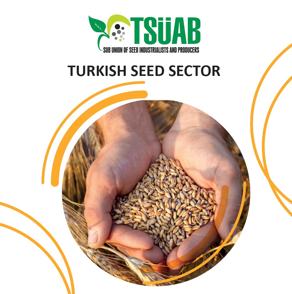 Turkish Seed Sector